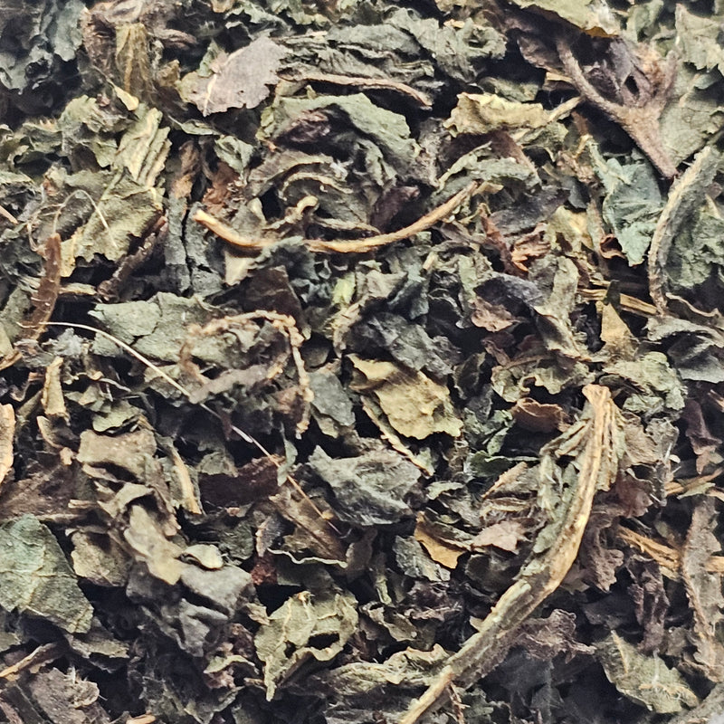 Nettle Leaf